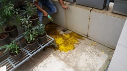 waterproofing in action